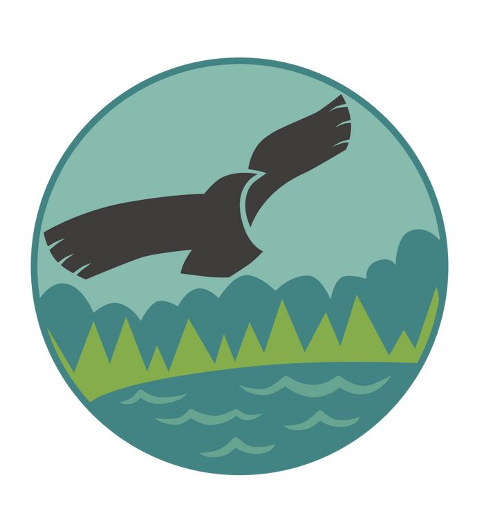 Seeadler Kirchbarkau